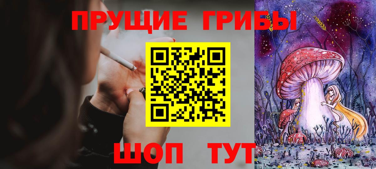 Галлюциногенные грибы Psilocybe  Псилоцибиновые грибы Psilocybe  Белая Калитва 